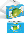 番石榴包装