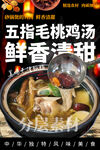 五指毛桃鸡汤