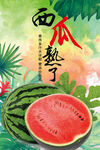 西瓜