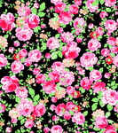 花卉 