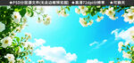 繁花蓝天白云