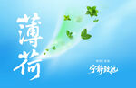 薄荷