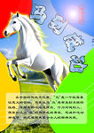 12生肖之马海报