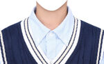 男学生马甲证件照衣服素材
