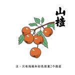 枝头山楂果