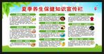 夏季养生知识宣传栏