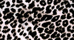 豹纹图案纹理