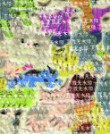 猫 可爱 动物 