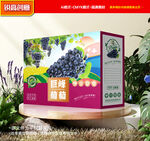 葡萄包装 巨峰礼盒