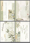 梅花果果