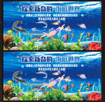 海洋馆展板