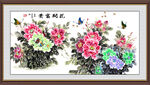 牡丹花 花开富贵