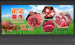  牛肉背景墙