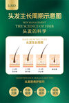 美发养育发头皮护理头发健康海报
