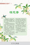 桂花科普页面展示