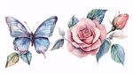 蝴蝶与玫瑰水彩插画