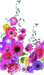 手绘花单边定位