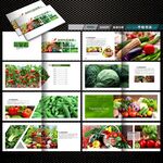 果蔬产品画册