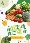 蔬菜海报