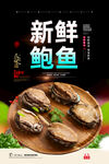 鲍鱼
