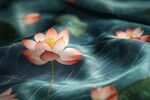 水墨荷花图