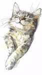 酣睡的猫咪