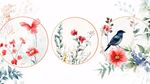 花卉飞鸟水彩插画三图组