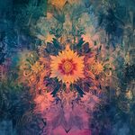 绚丽花卉抽象艺术图案