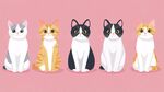 五只可爱猫咪的萌趣集合