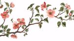 手绘粉色花枝插画