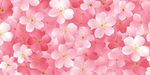 浪漫粉色樱花花朵背景图