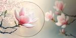玉兰花韵 春日浪漫花卉图