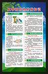 预防热射病知识海报