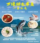 万绿湖水库鱼一鱼三吃海报