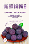 杨梅海报