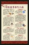 夏季中医养生知识海报
