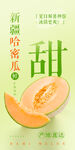 哈密瓜 