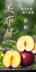 黑布林 