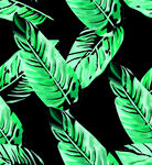 绿色热带叶无缝图案背景