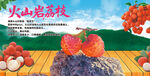 火山岩荔枝