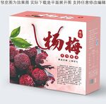 杨梅礼盒