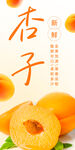 杏子海报 