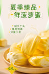 菠萝蜜 