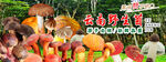 野生菌广告 