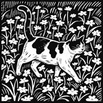 黑白花猫漫步花丛间