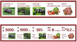 土猪肉海报展示优惠信息
