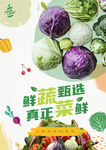 蔬菜海报