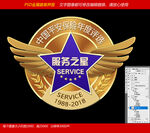 服务之星金属徽章