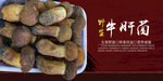 野生菌海报