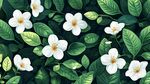 清新茉莉花与绿叶图案